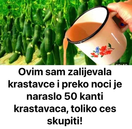 365287616_681969447307931_7756386176242816344_n