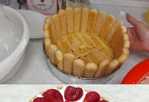 TORTA SA JOGURTOM I JAGODAMA SMUĆKANA ZA 10 MINUTA
