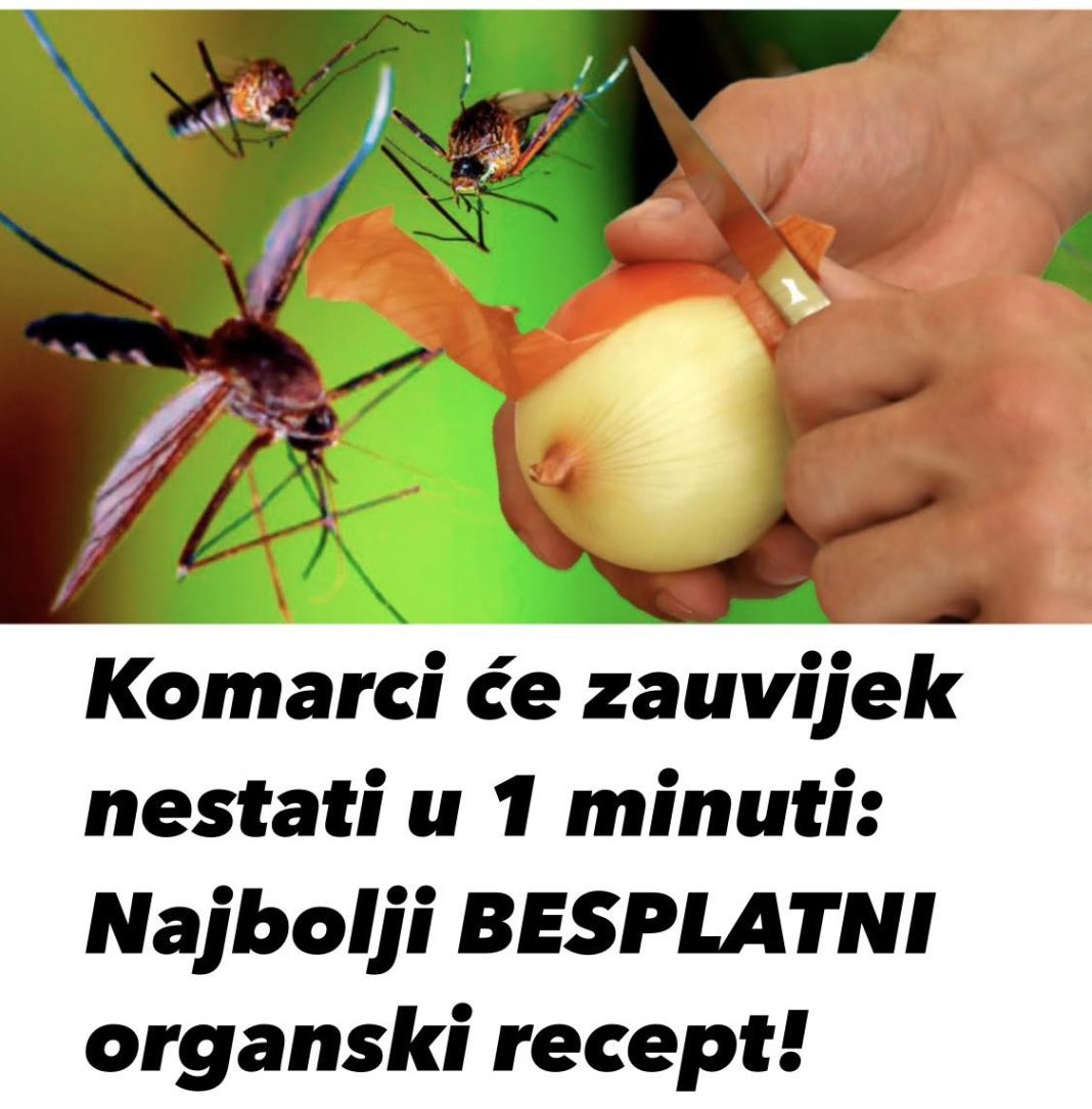 444489189_784351303826074_6225827855351666278_n