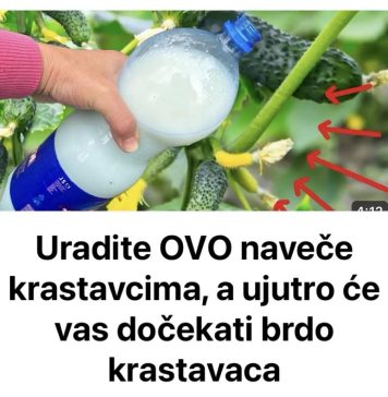 Uradite ovo krasavcima da bi postigli brži rast i razvoj…