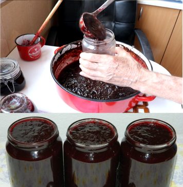 KAKO SPREMITI DŽEM OD ŠLJIVA U RERNI? Bolji ukus ne možete zamisliti! (RECEPT)