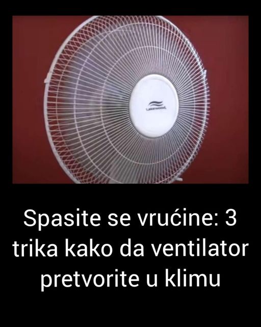 450229207_1053452696341446_6364694542283399974_n