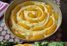 Ovu tortu ćete pojesti za 5 minuta! Najukusnija torta od kajsije!