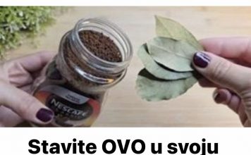 Stavite OVO u svoju kuću i nikada više nećete vidjeti muhe ili komarce