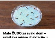 Malo ČUDO za svaki dom – uništava mirise i bakterije u zraku: Samo pomiješajte 4 sastojka i nećete ni pogledati skupe osvježivače zraka!