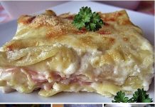 LAGANI RUČAK…JEDAN OD UKUSNIJI KOJE SAM PROBALA OVE GODINE