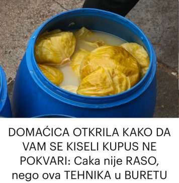 DOMAĆICA OTKRILA KAKO DA VAM SE KISELI KUPUS NE POKVARI: Caka nije RASO, nego ova TEHNIKA u BURETU