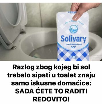 Razlog zbog kojeg bi sol trebalo sipati u toalet znaju samo iskusne domaćice: SADA ĆETE TO RADITI REDOVITO!