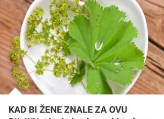 KAD BI ŽENE ZNALE ZA OVU BILJKU, ginekolog im ne bi trebao: Dokazano pomaže kod NEPLODNOSTI, a miomi i ciste nestaju ko rukom