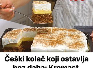 ČEŠKI KOLAČ KOJI OSTAVLJA BEZ DAHA: Kremast, sočan i nevjerovatno jeftin za pripremu