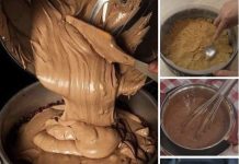 RAJSKA POSLASTICA….FANTASTIČNA TORTA koja se ne peče,a potrebna su vam samo 4 SASTOJKA