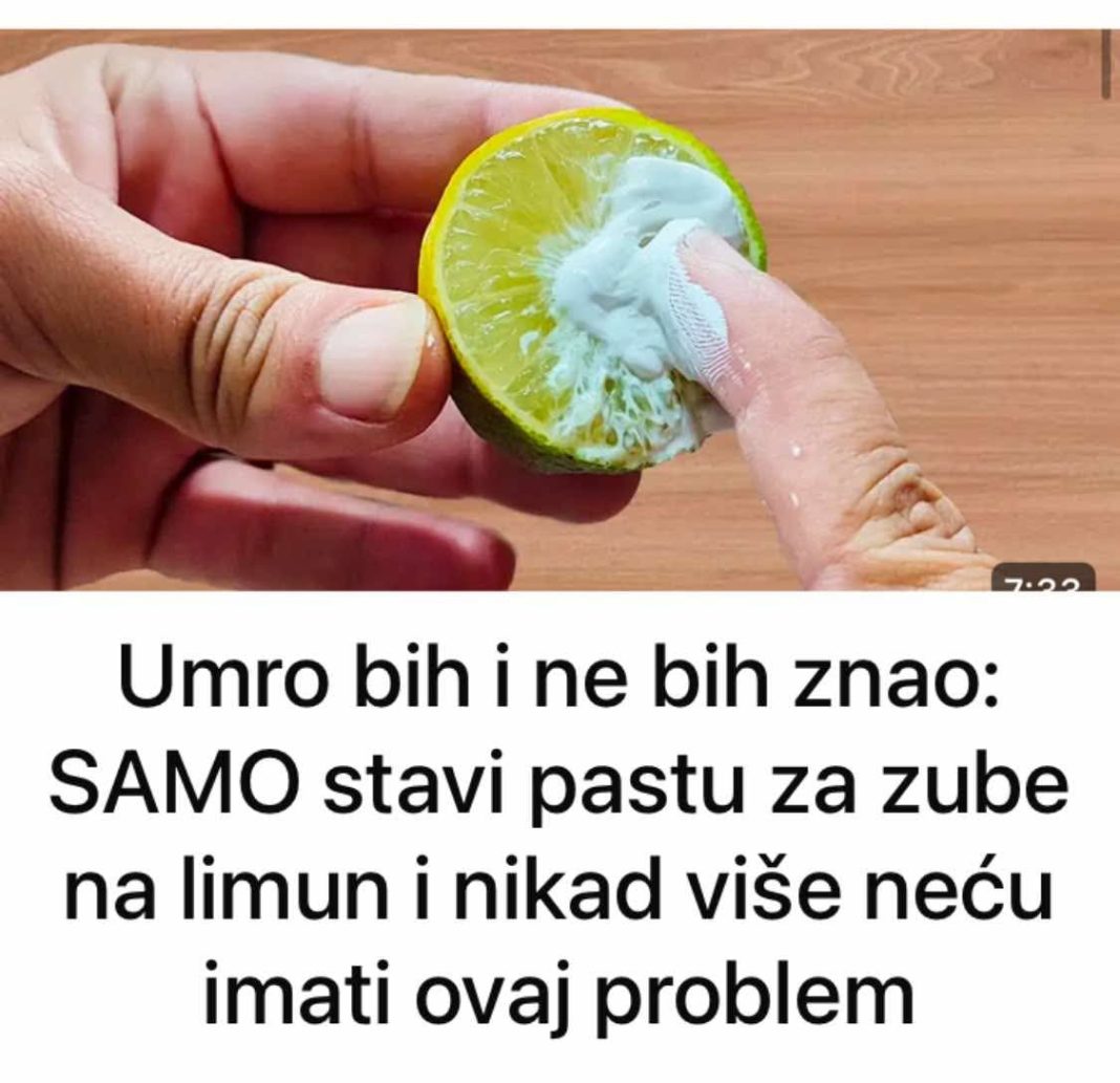 FB_IMG_1740053554774