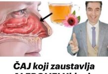 ČAJ koji zaustavlja ALERGIJE! Uklanja curenje iz nosa, svrbež očiju, kašalj…