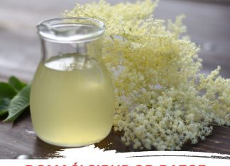 Domaći sirup od Bazge: Bakin recept za sok koji vas vraća u djetinjstvo