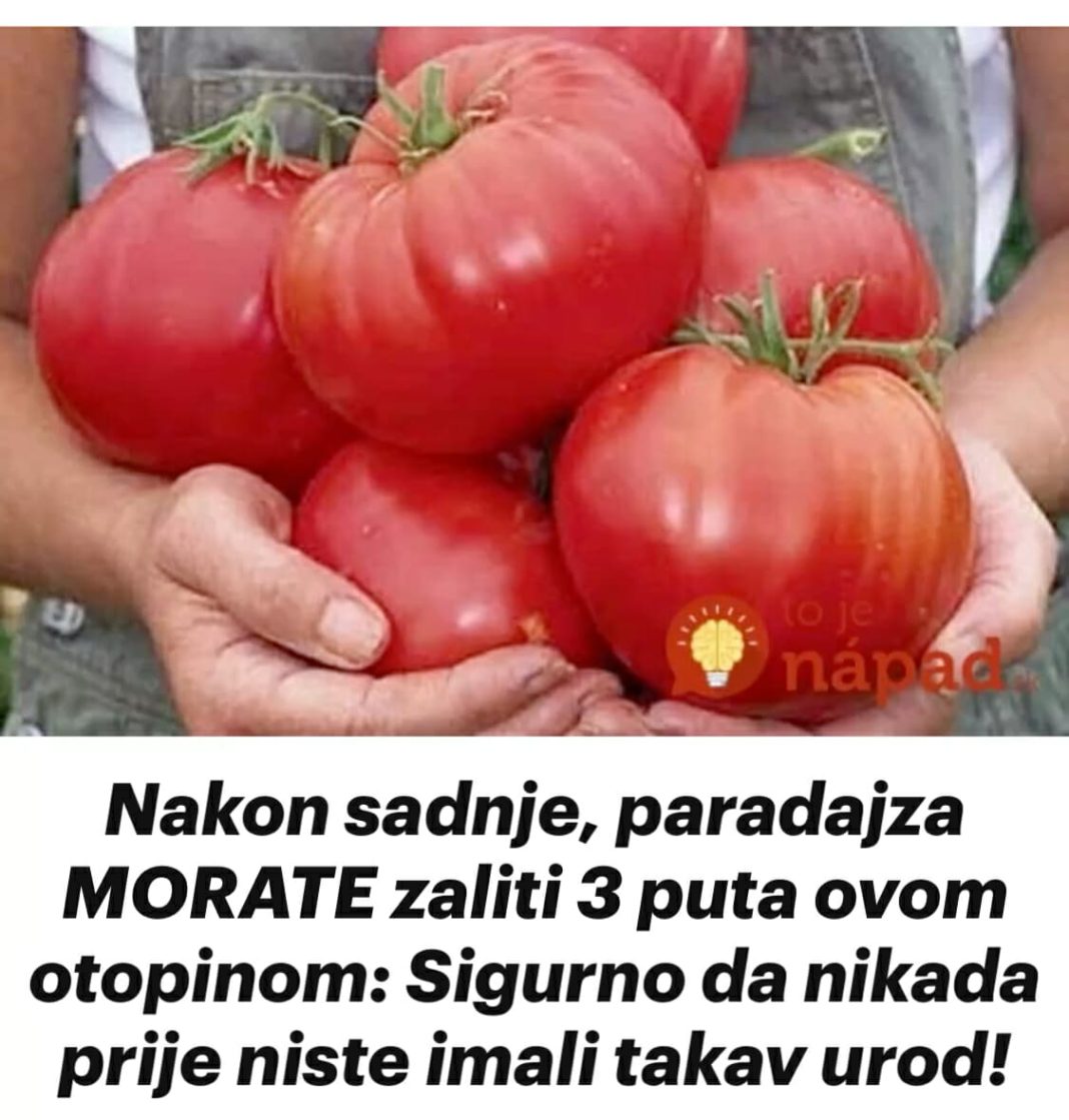 487451586_994701692791033_3296105076326293181_n