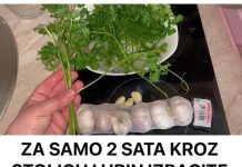 ZA SAMO 2 SATA KROZ STOLICU I URIN IZBACITE SVE STO SMETA ZDRAVOM ORGANIZMU! Univerzalni LEK!