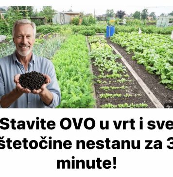 Stavite OVO u vrt i sve štetočine nestanu za 3 minute!