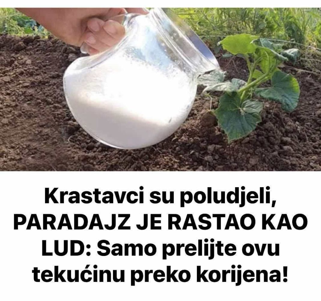 FB_IMG_1748603512248