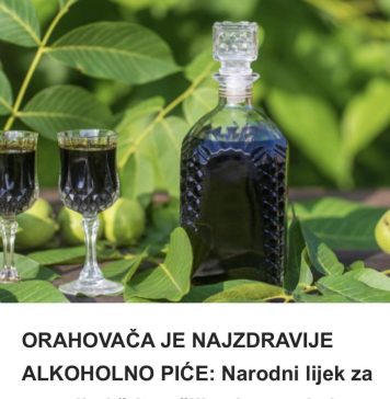 0RAH0VAČA JE NAJZDRAVIJE ALK0H0LN0 PIĆE