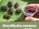Smrdibube nestanu za 1 minutu! OVO je jače od tone otrova…