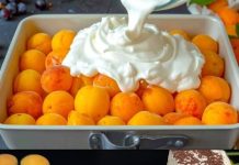 Savršen kolač od kajsija za samo 10 minuta! Najpoznatiji recept za kajsije. Topi se u ustima.