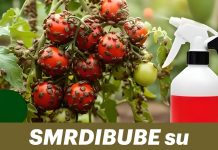 SMRDIBUBE su nestale za 24 sata: Nisam vjerovala dok nisam probala!