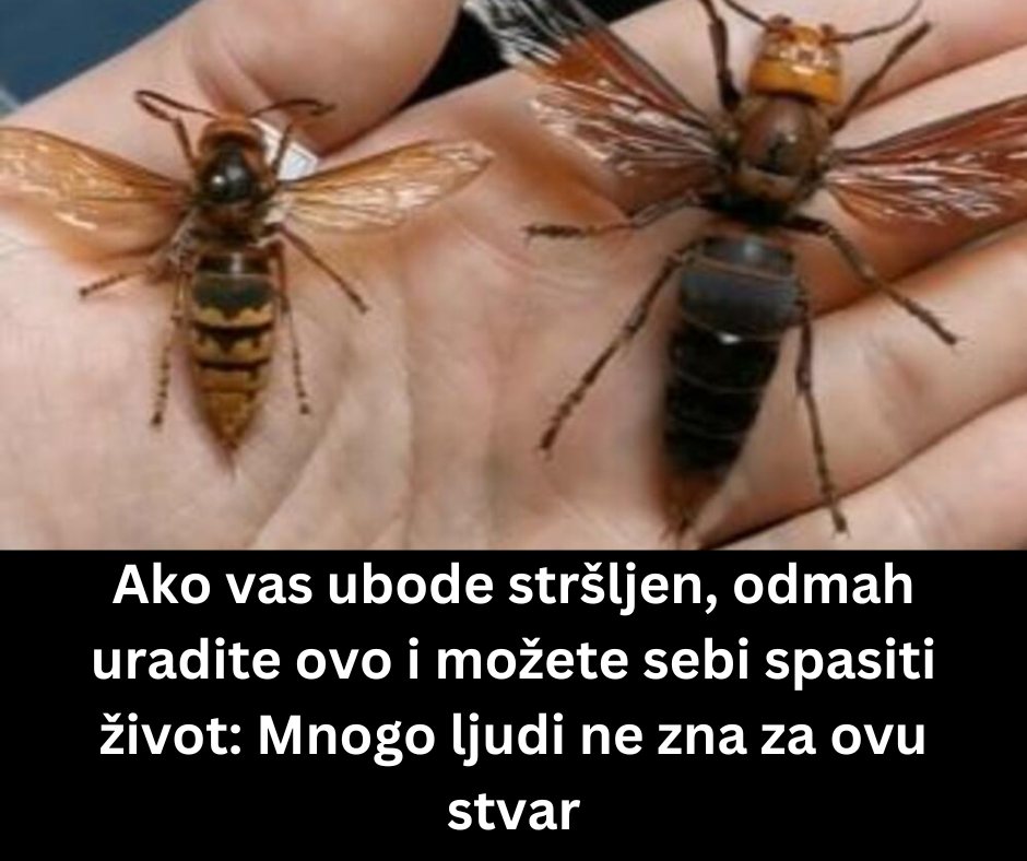 537185438_1099481298979738_1403185376210132363_n
