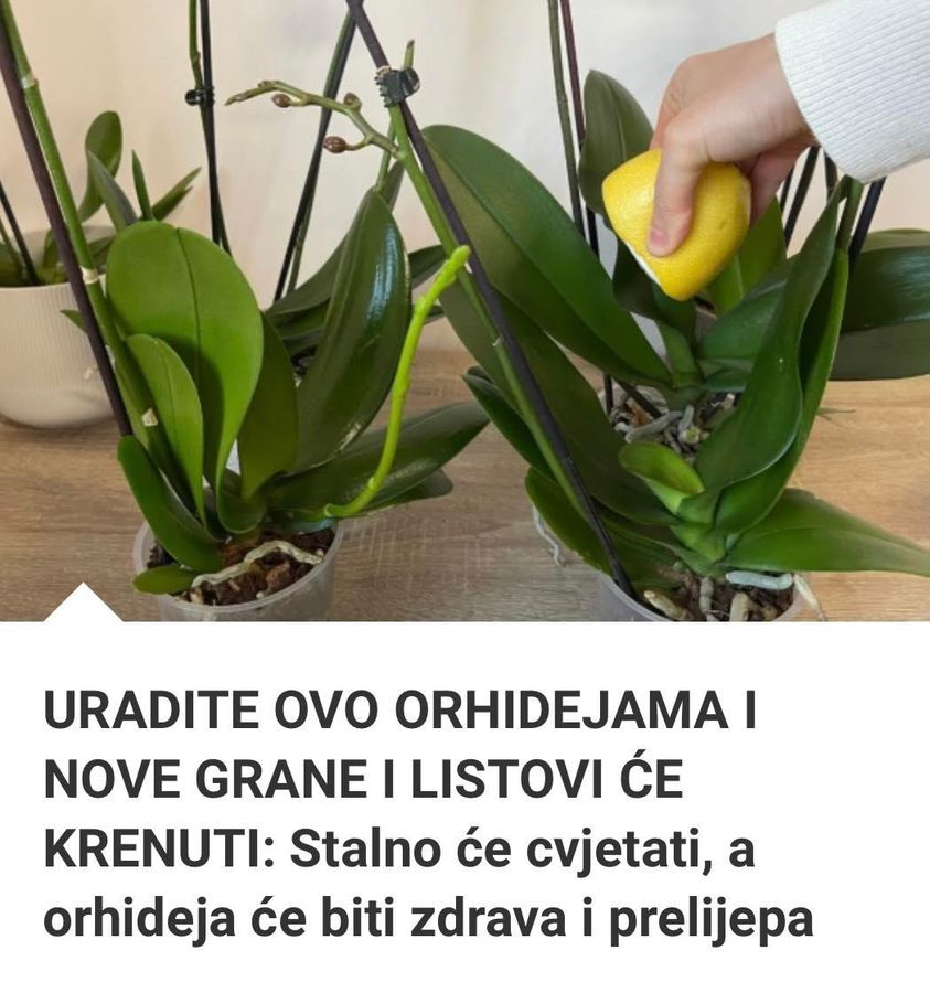 485754432_4035573326715631_8349836957278405298_n