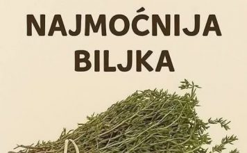 Najmoćnije bilje koje uništavaju parazite, infekcije urinarnog trakta I mjehura, herpesa I viruse gripe!