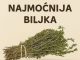 Najmoćnije bilje koje uništavaju parazite, infekcije urinarnog trakta I mjehura, herpesa I viruse gripe!