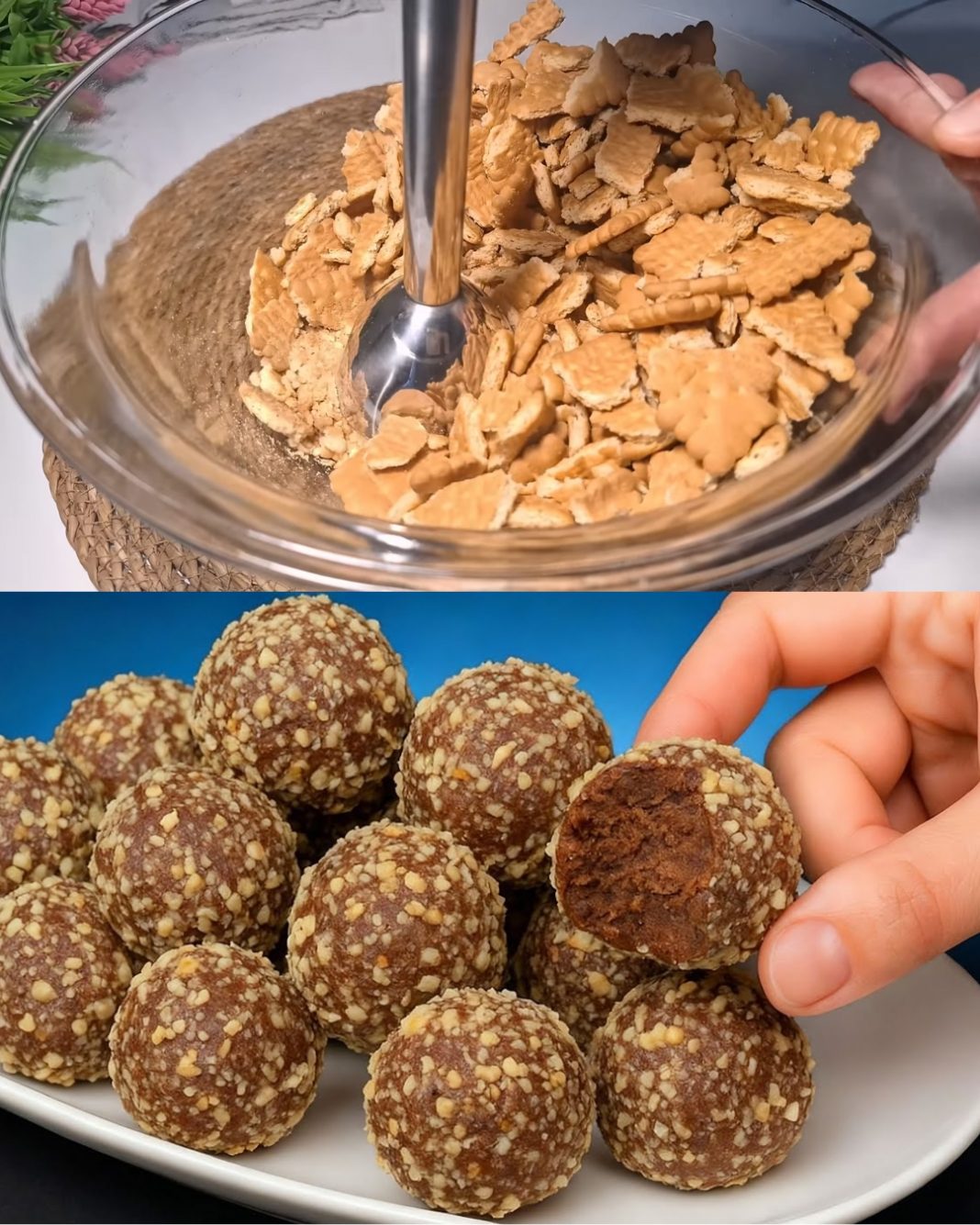 573319564_122170994144387839_216648874772542678_n