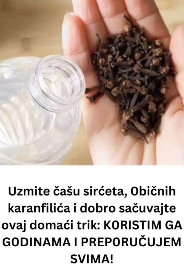 538526325_797795869269891_5723767349105097143_n