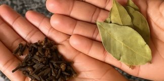 Skuvajte 2 LOVOROVA lista, 4 karanfilića i nikad ne zaboravite OVAJ recept: SPAS ZA OTOK, BOL I SLAB IMUNITET!