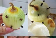 MOJA BAKA UVIJEK ZABADA KLINČIĆE U LUK 😯 — kada sam saznala zašto to radi, bila sam iznenađena! 😅 Sada i ja to radim i oduševljena sam ovim trikom 😍🌿