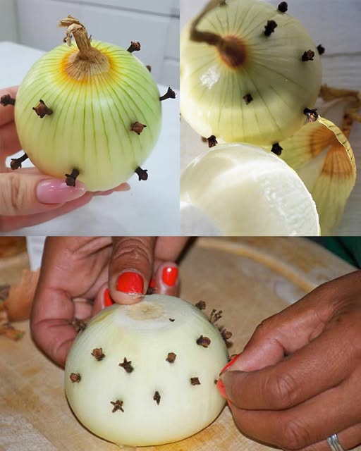 584518328_1416845726465666_3261659196437267293_n