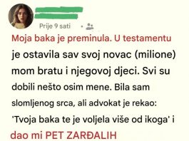 Moja porodica se smejala mom “bezvrednom” nasledstvu — sve dok se istina nije otkrila…