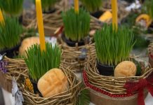 PO vjerovanju, ako se BOŽIĆNA PŠENICA POSADI NA OVAJ DAN, kuća će biti BLAGOSLOVENA cijele GODINE…