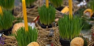 PO vjerovanju, ako se BOŽIĆNA PŠENICA POSADI NA OVAJ DAN, kuća će biti BLAGOSLOVENA cijele GODINE…