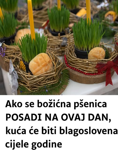 595671808_1444955887191123_6449300194089173267_n