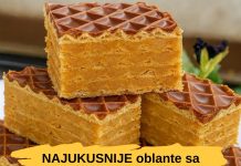 NAJUKUSNIJE OBLATNE SA PLAZMOM KOJE SVI VOLE: TOPLO IH PREPORUČUJEM…