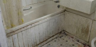 Nikada se ne biste setili: Vlaga i buđ nestaju uz ovaj začin, efekat je gotovo trenutni