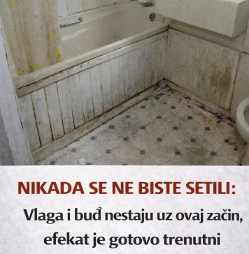 Nikada se ne biste setili: Vlaga i buđ nestaju uz ovaj začin, efekat je gotovo trenutni