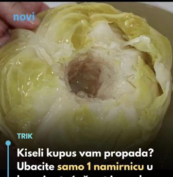 Kiseli kupus vam propada? Ubacite samo 1 namirnicu u bure i ostaće čvrst i preukusan do juna…