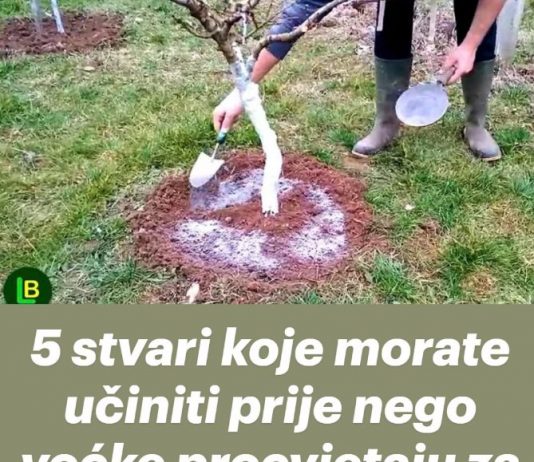 5 stvari koje morate učiniti prije nego voćke procvjetaju za rekordnu berbu..