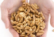 Pojela je 5 oraha I sačekala 4 sata: evo šta joj se desilo sa tijelom…