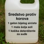 Kako Napraviti Efikasan Prirodni Herbicid za Vašu Baštu i Prirodno se Riješiti Korova