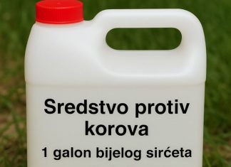 Kako Napraviti Efikasan Prirodni Herbicid za Vašu Baštu i Prirodno se Riješiti Korova