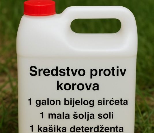 Kako Napraviti Efikasan Prirodni Herbicid za Vašu Baštu i Prirodno se Riješiti Korova