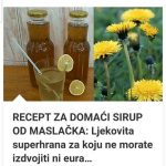 DOMAĆI SIRUP OD MASLAČKA: Ljekovita superhrana koja ne košta ni eura…