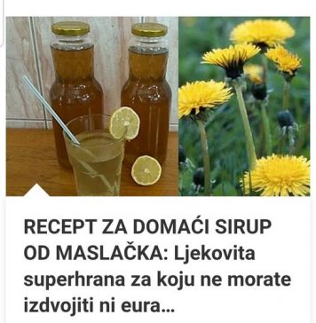 DOMAĆI SIRUP OD MASLAČKA: Ljekovita superhrana koja ne košta ni eura…